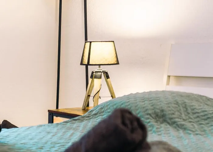 Διαμέρισμα Bel - Plain-pied - Centre - Iut